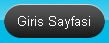 Giris Sayfasi
